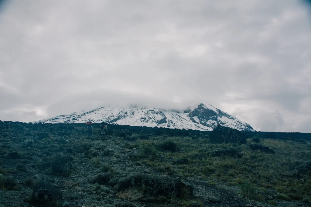 Cloud above Kilimanjaro and its forested lower slopes, May 2016